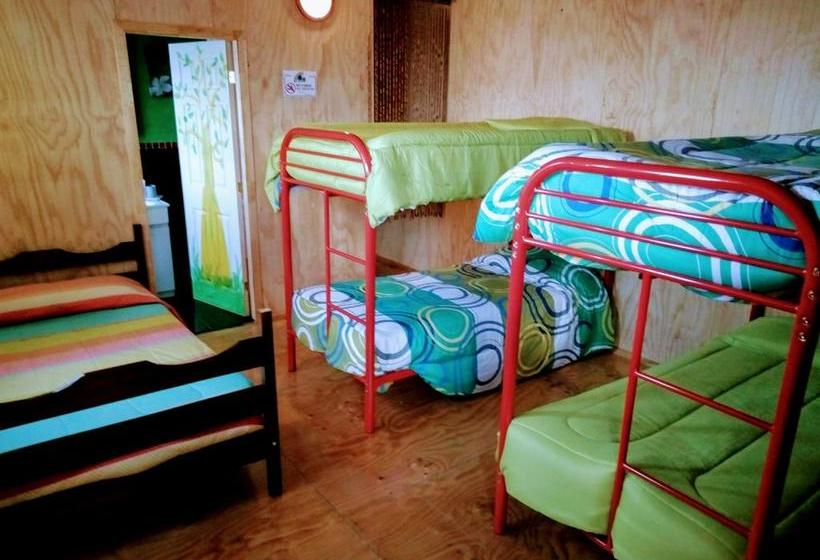 Albergue Huepil Backpackers | Castro | Los Lagos | Chile 2