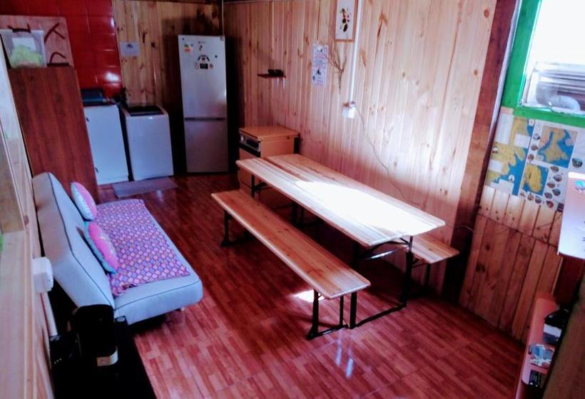 Albergue Huepil Backpackers | Castro | Los Lagos | Chile 5