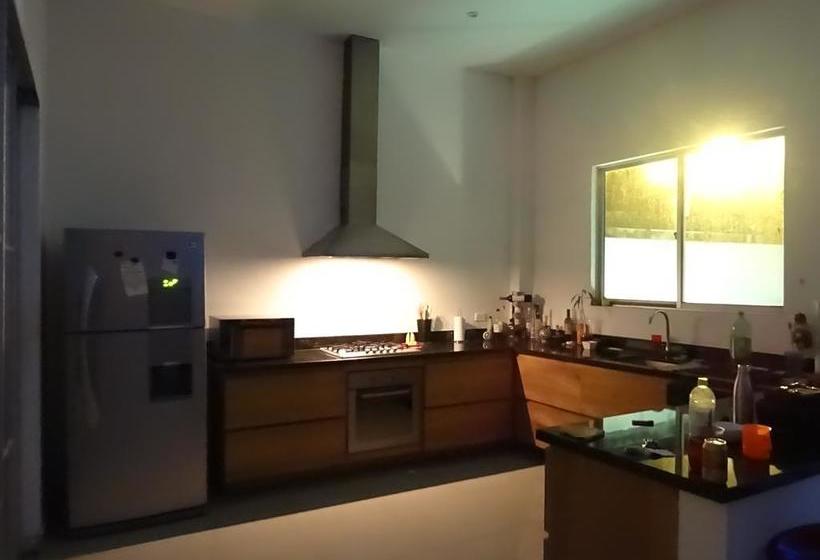 Coccoloba Hostel | Cartagena de Indias | Bolivar | Colombia 10