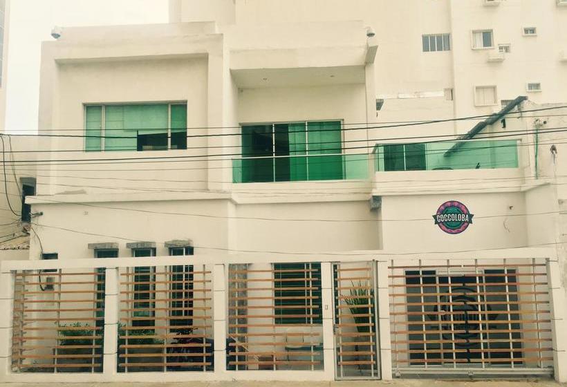 Coccoloba Hostel | Cartagena de Indias | Bolivar | Colombia 11