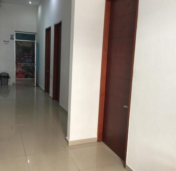 Coccoloba Hostel | Cartagena de Indias | Bolivar | Colombia 20
