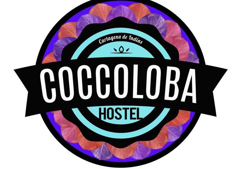 Coccoloba Hostel | Cartagena de Indias | Bolivar | Colombia 8