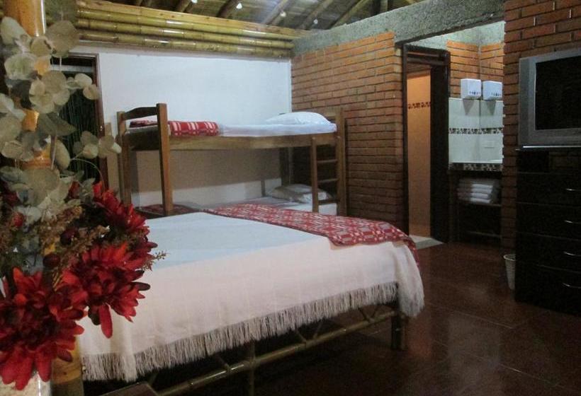 Hotel Cabañas Las Bifloras | Santa Rosa de Cabal | Risaralda | Colombia 16