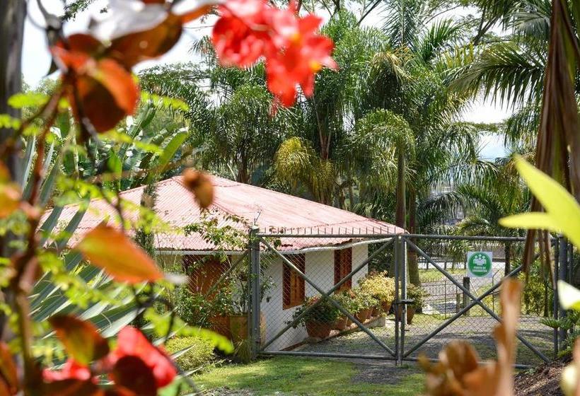Hotel Cabañas Las Bifloras | Santa Rosa de Cabal | Risaralda | Colombia 4