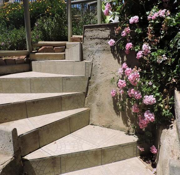 Albergue Nomade Hostal | Viña del Mar | Valparaiso | Chile 13