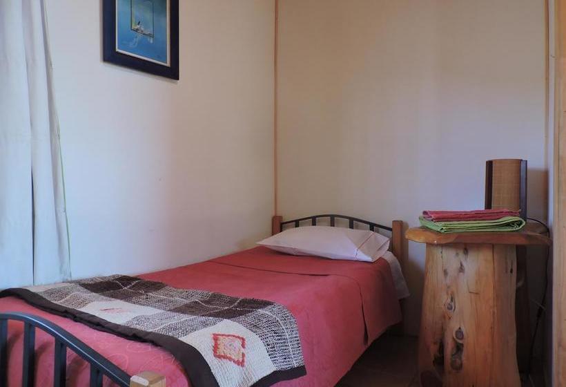 Albergue Nomade Hostal | Viña del Mar | Valparaiso | Chile 2