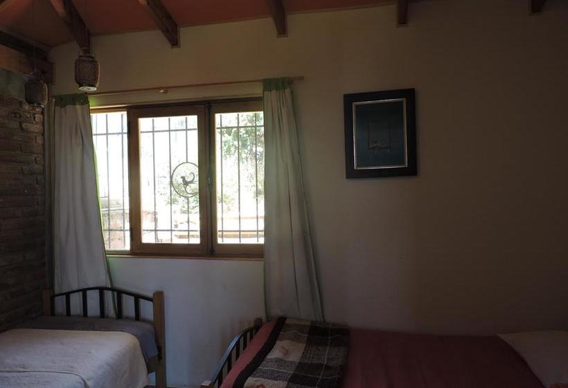 Albergue Nomade Hostal | Viña del Mar | Valparaiso | Chile 3