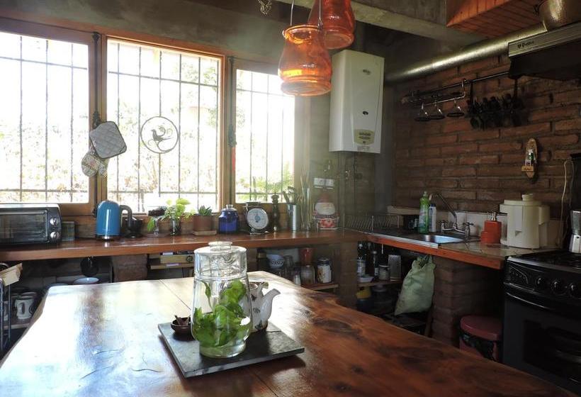 Albergue Nomade Hostal | Viña del Mar | Valparaiso | Chile 4