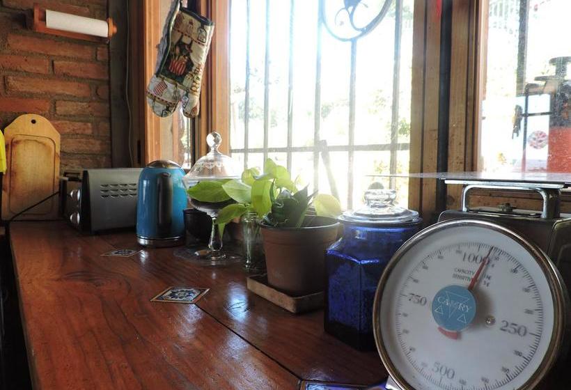 Albergue Nomade Hostal | Viña del Mar | Valparaiso | Chile 5