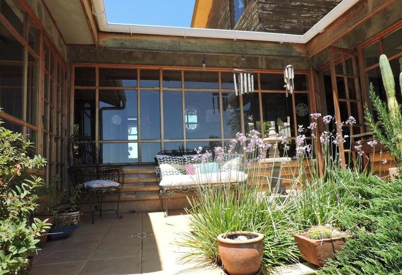 Albergue Nomade Hostal | Viña del Mar | Valparaiso | Chile 6