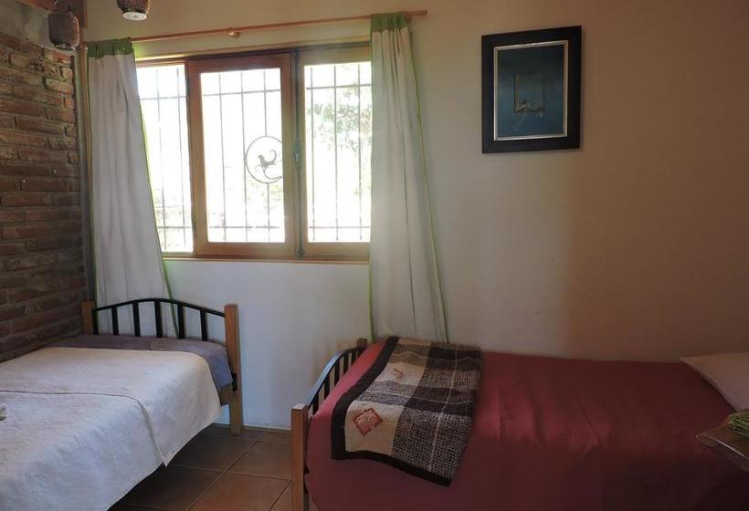 Albergue Nomade Hostal | Viña del Mar | Valparaiso | Chile 7