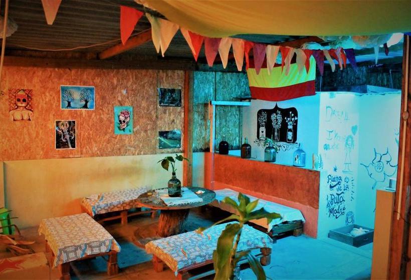 Qispi Kay Hostel | Piura | Piura | Perú 13