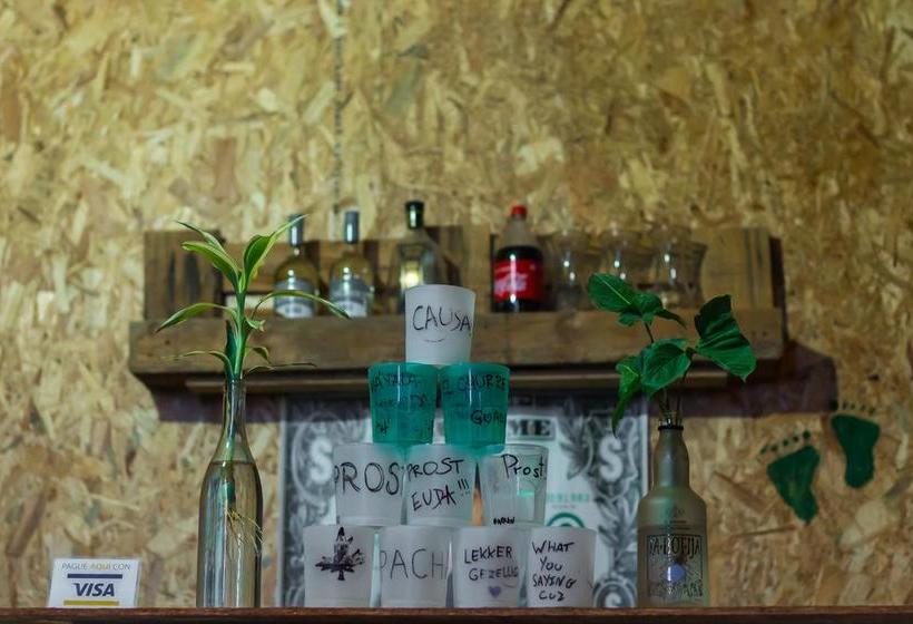 Qispi Kay Hostel | Piura | Piura | Perú 14