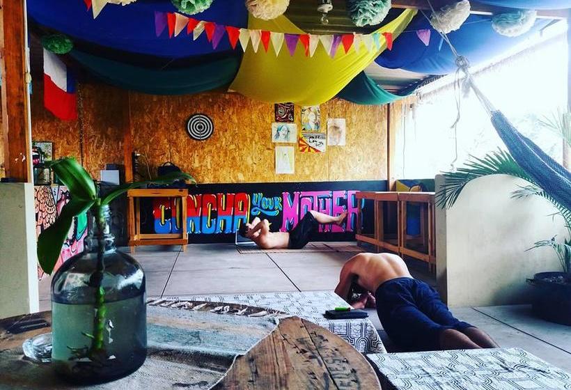 Qispi Kay Hostel | Piura | Piura | Perú 16