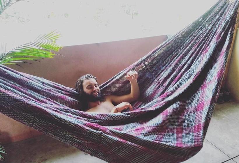 Qispi Kay Hostel | Piura | Piura | Perú 20