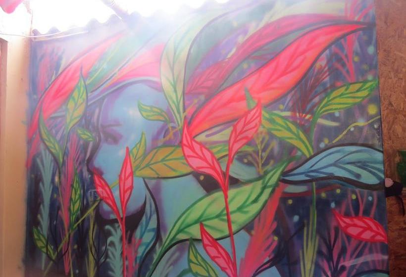 Qispi Kay Hostel | Piura | Piura | Perú 6