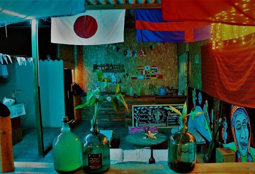 Qispi Kay Hostel | Piura | Piura | Perú 7