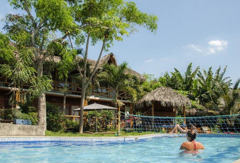 Albergue Montañita Cabañas Montañita