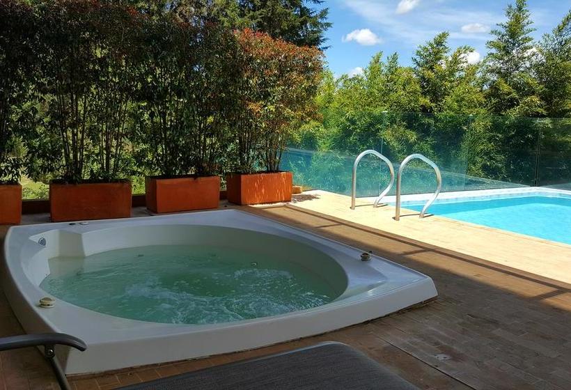 Mg Hotels & Suites | Rionegro | Antioquia | Colombia 9