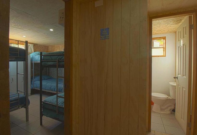 Albergue Hostal Disfruta Pucón | Pucon | Araucanía | Chile 12