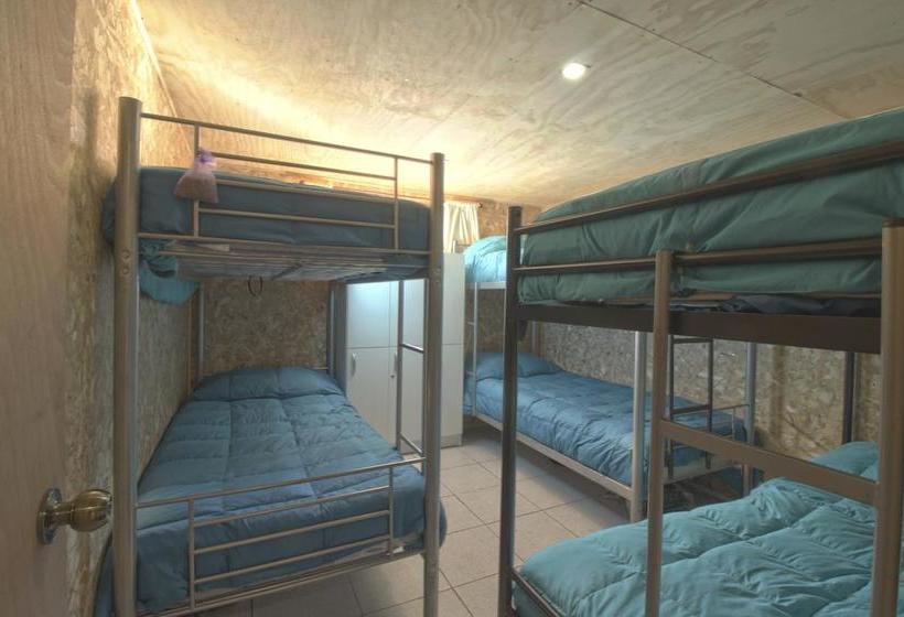 Albergue Hostal Disfruta Pucón | Pucon | Araucanía | Chile 13