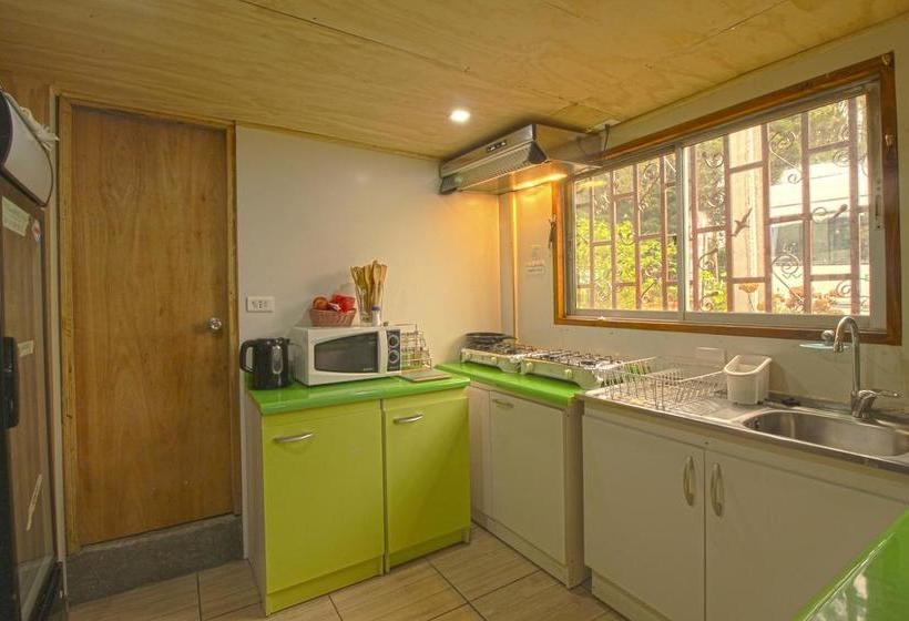 Albergue Hostal Disfruta Pucón | Pucon | Araucanía | Chile 8