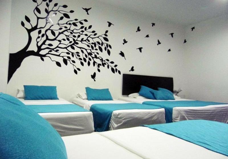 Hotel Los Cristales | Santa Rosa de Cabal | Risaralda | Colombia 16