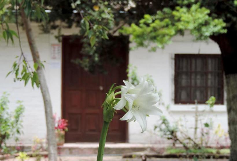 Hotel La Primavera | Riobamba | Chimborazo | Ecuador 14