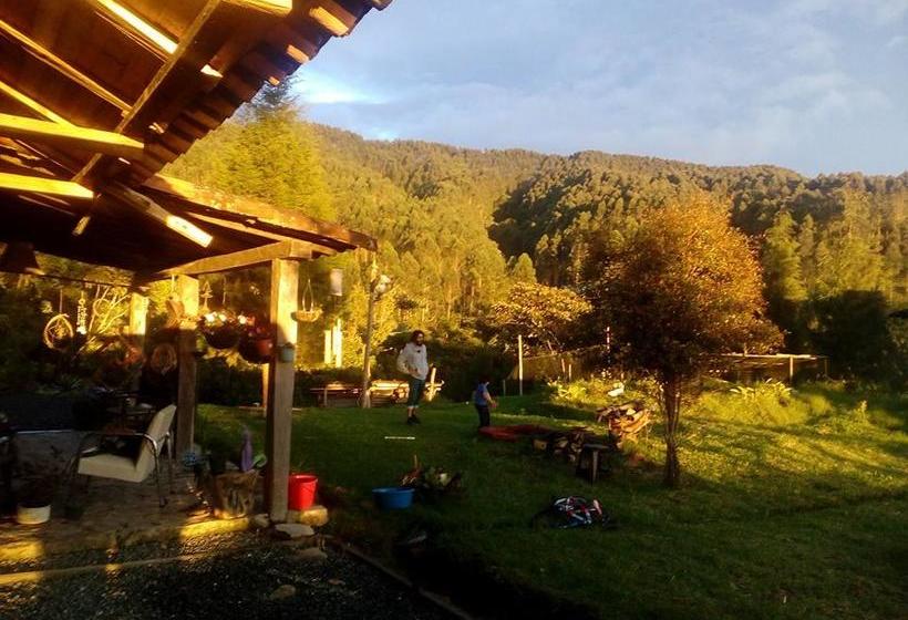 Albergue Tarragona Hostal | Santa Rosa de Cabal | Risaralda | Colombia 10