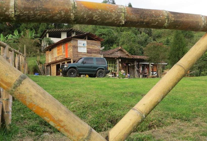 Albergue Tarragona Hostal | Santa Rosa de Cabal | Risaralda | Colombia 15
