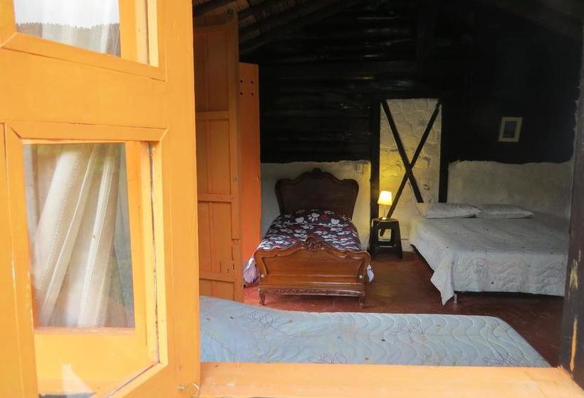 Albergue Tarragona Hostal | Santa Rosa de Cabal | Risaralda | Colombia 16