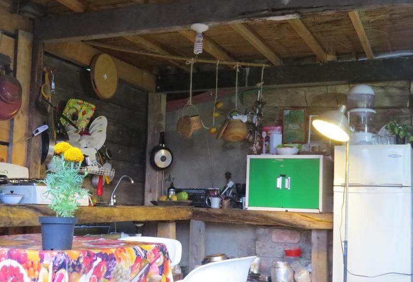 Albergue Tarragona Hostal | Santa Rosa de Cabal | Risaralda | Colombia 19