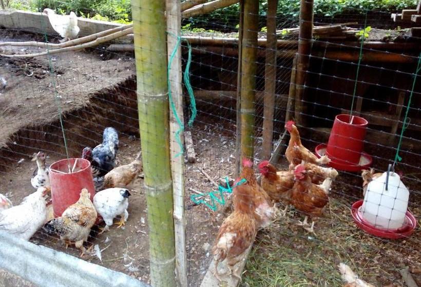 Albergue Tarragona Hostal | Santa Rosa de Cabal | Risaralda | Colombia 6