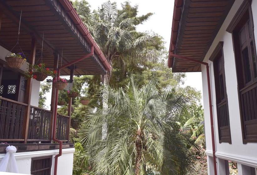 Hotel La Moraleja | Salento | Quindío | Colombia 1