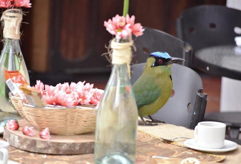 Hotel La Moraleja | Salento | Quindío | Colombia 9