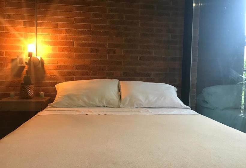 Hotel Soy Local | Medellín | Antioquia | Colombia 1