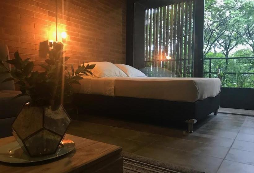 Hotel Soy Local | Medellín | Antioquia | Colombia 10