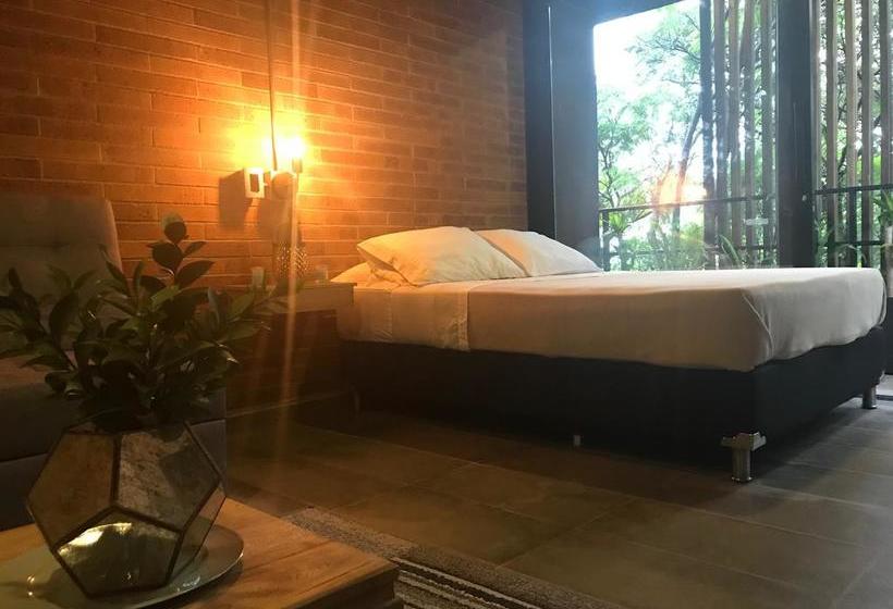 Hotel Soy Local | Medellín | Antioquia | Colombia 11