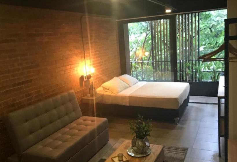 Hotel Soy Local | Medellín | Antioquia | Colombia 12