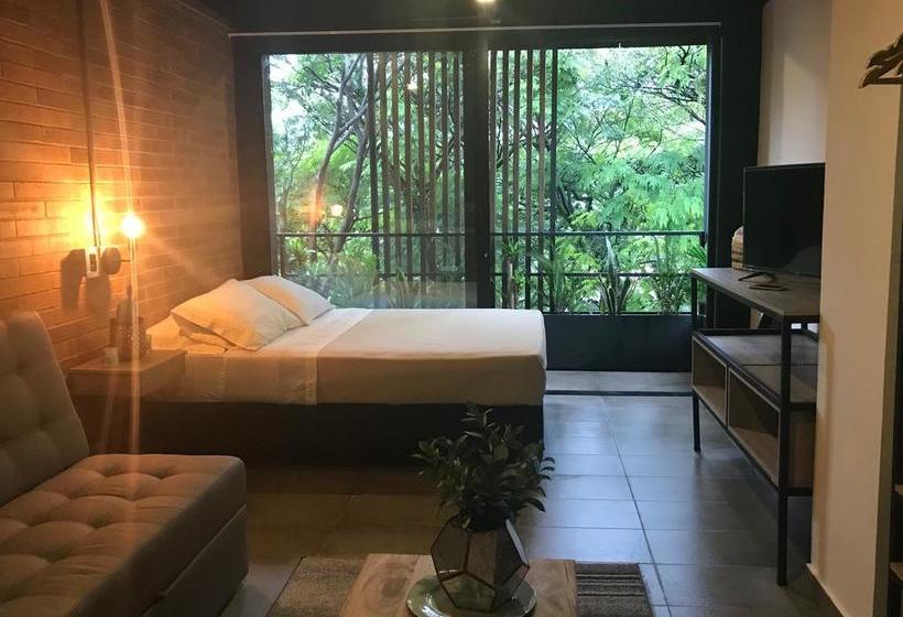 Hotel Soy Local | Medellín | Antioquia | Colombia 13