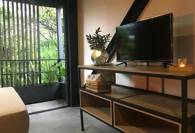 Hotel Soy Local | Medellín | Antioquia | Colombia 3