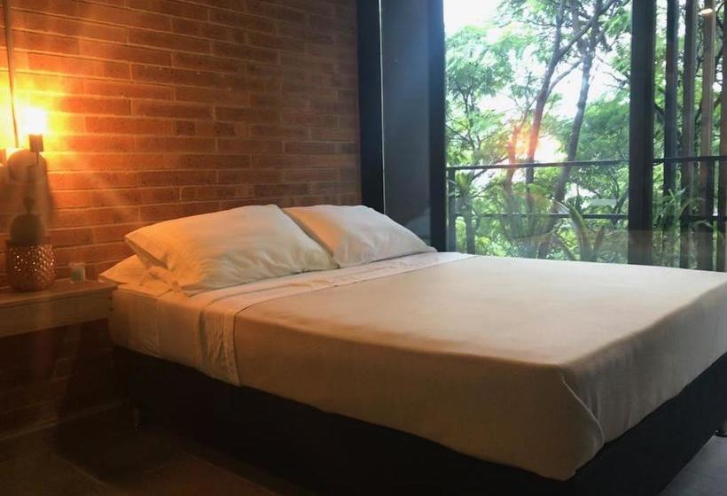 Hotel Soy Local | Medellín | Antioquia | Colombia 4