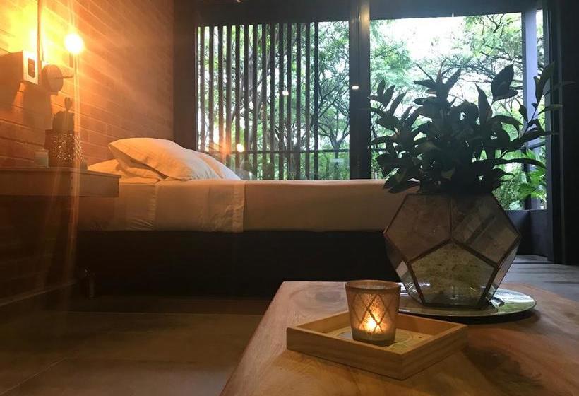 Hotel Soy Local | Medellín | Antioquia | Colombia 6