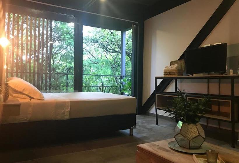 Hotel Soy Local | Medellín | Antioquia | Colombia 8