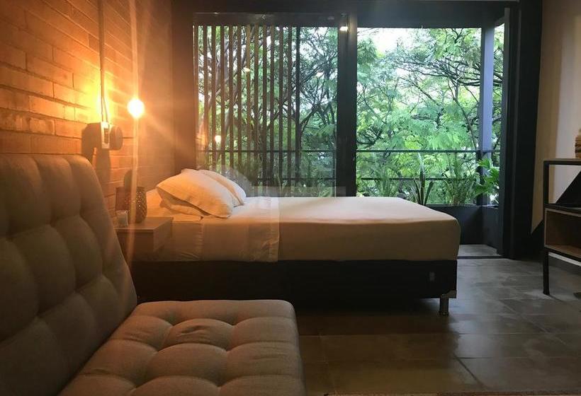 Hotel Soy Local | Medellín | Antioquia | Colombia 9