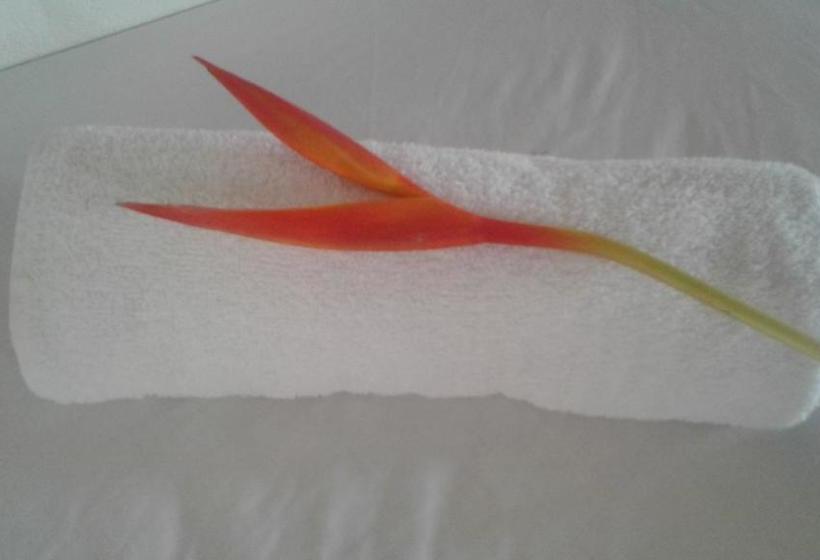 Bed and Breakfast Cabaña Pura Vida | Capurganá | Chocó | Colombia 11