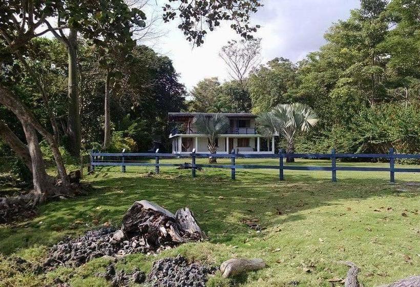 Bed and Breakfast Cabaña Pura Vida | Capurganá | Chocó | Colombia 14