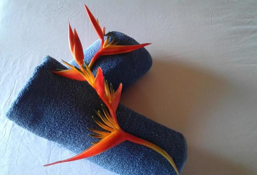 Bed and Breakfast Cabaña Pura Vida | Capurganá | Chocó | Colombia 15