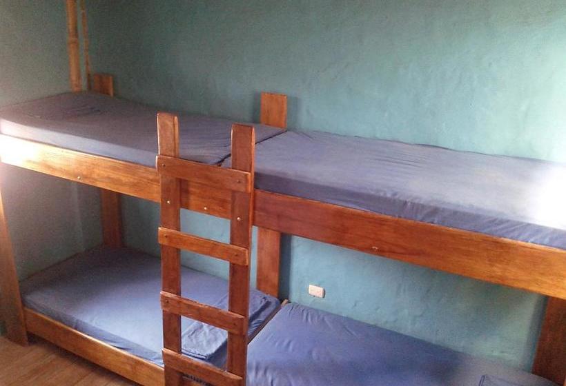 Albergue Mary Fun | Montañita | Santa Elena | Ecuador 4