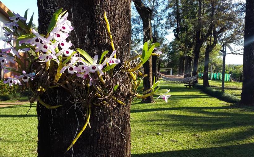 Hotel Encanto Rural | Bella Vista | Paraguay | América del Sur 7